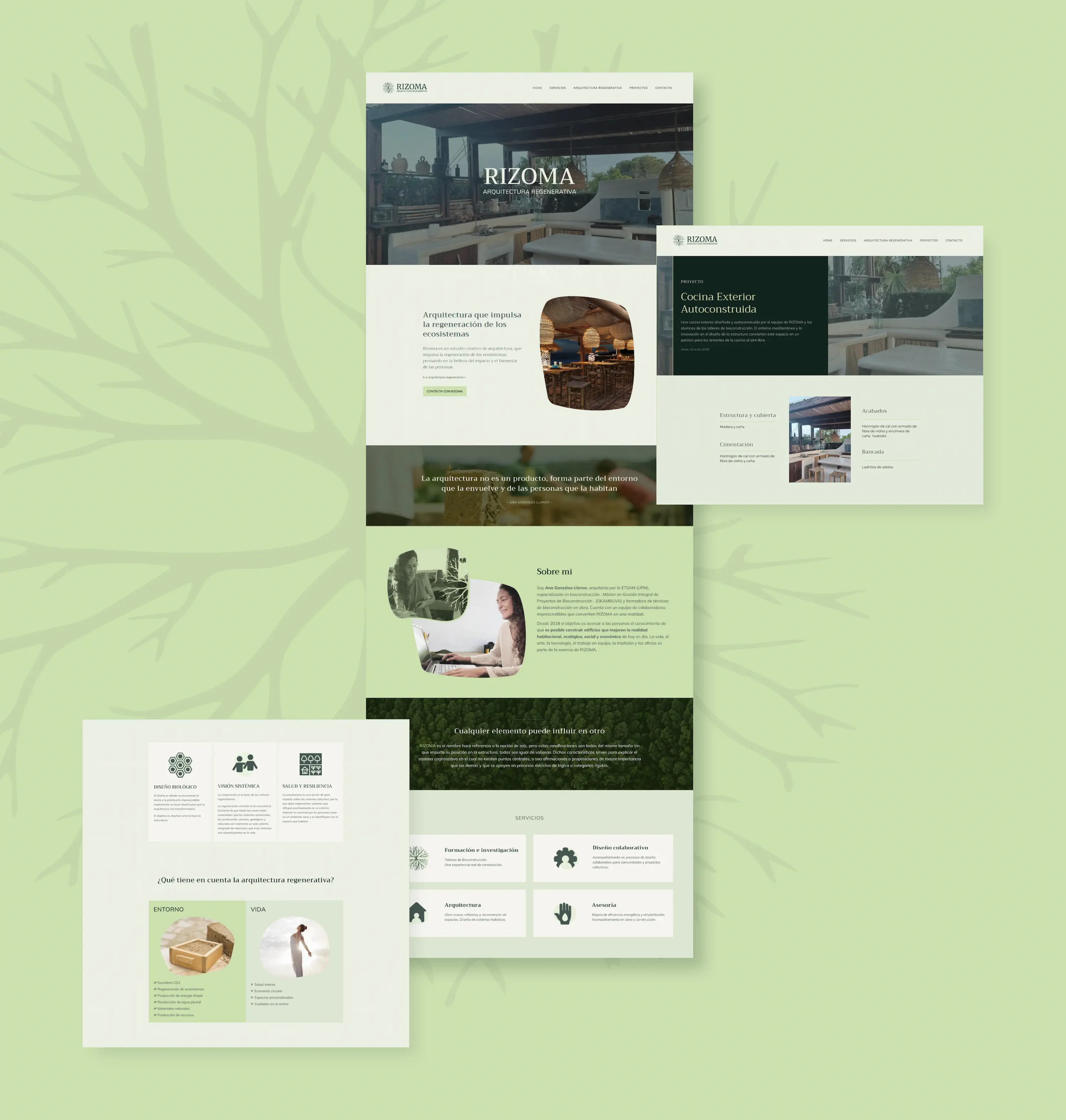 Desarrollo Web | Diseño